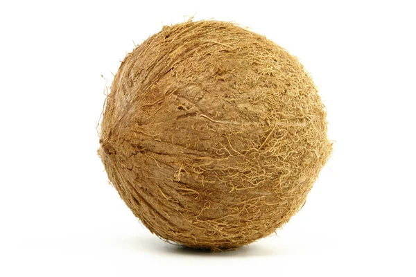 Einzelne Kokosnuss Isoliert Auf Weißem Hintergrund — Stockfoto