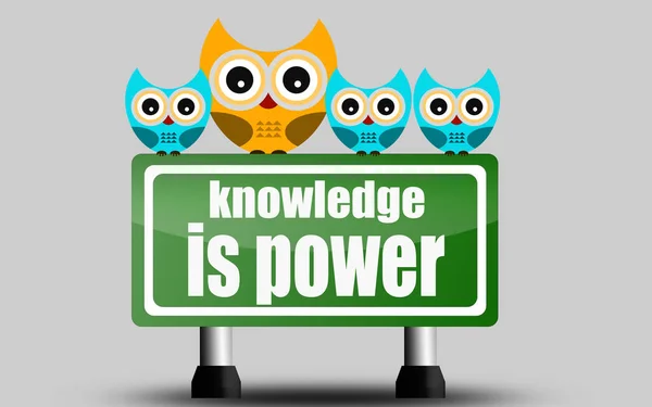 知识是力量路标与可爱的猫头鹰 — 图库照片