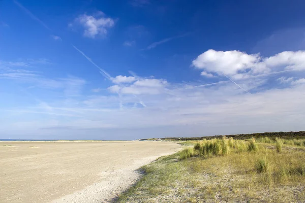 Plaża Renesse Holandia — Zdjęcie stockowe