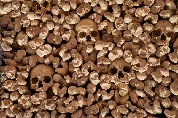 Emberi Csontokból Készült Fal — Stock Fotó