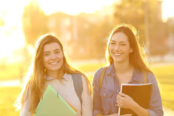 Retrato Dos Estudiantes Felices Mirando Cámara Atardecer Parque —  Fotos de Stock