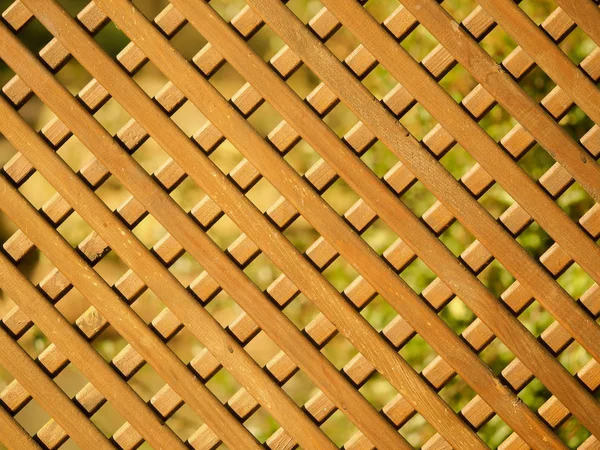 Holz Gitter Garten Spalier Hintergrund — Stockfoto