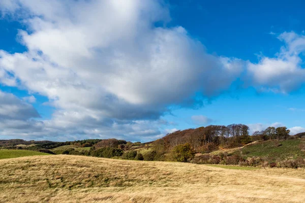 Paesaggio Sull Isola Moen Danimarca — Foto Stock