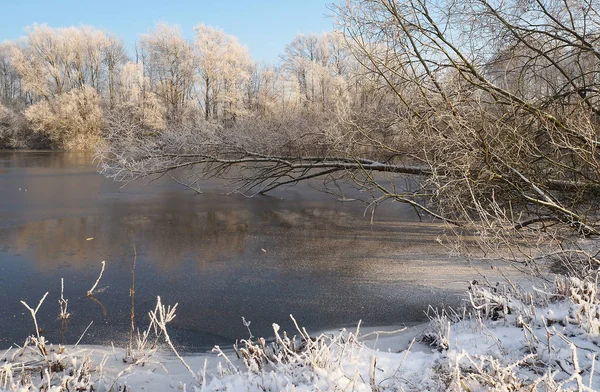 Inverno Lago — Fotografia de Stock