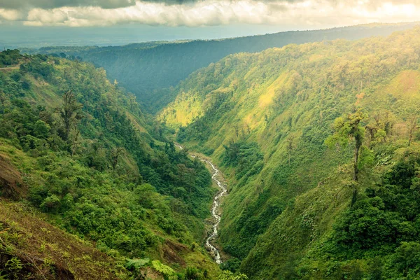 Vista Panorâmica Uma Ravina Com Riacho Centro Costa Rica — Fotografia de Stock