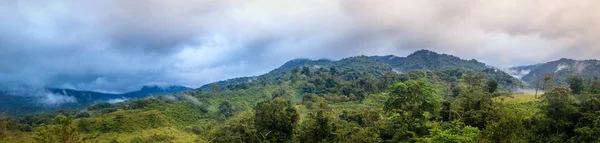 Panoramautsikt Över Molnskogen Centrala Costa Rica — Stockfoto