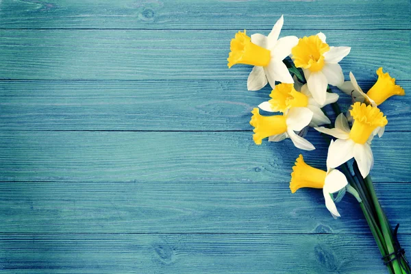 Flores Narciso Sobre Fondo Azul Madera — Foto de Stock