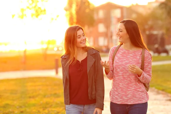 两个快乐的朋友在日落时在公园里散步聊天的正面肖像 — 图库照片