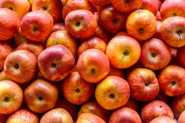 Frisch Gepflückte Rote Äpfel Buntes Fruchtmuster Nahtlose Abstrakte Gestaltung Von — Stockfoto