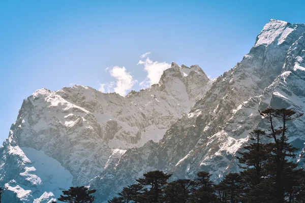 Selektiver Fokus Yumthang Valley Oder Valley Flowers Heiligtum Ist Eine — Stockfoto