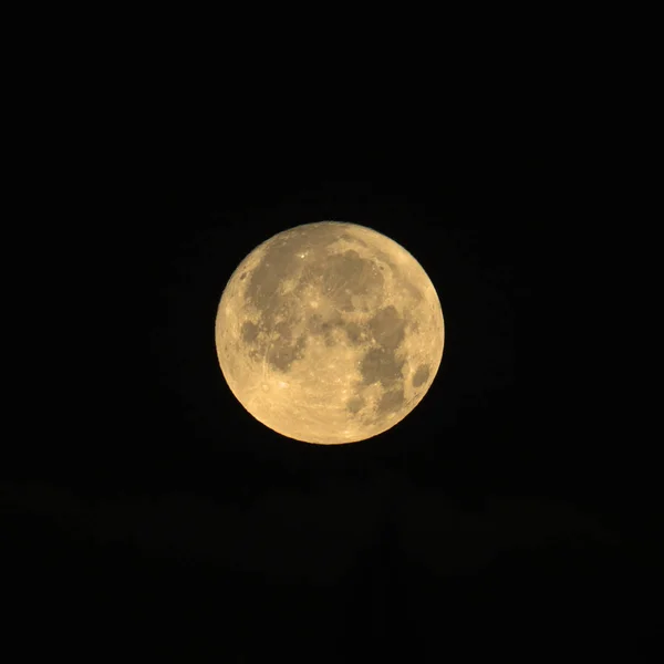 달빛을 — 스톡 사진