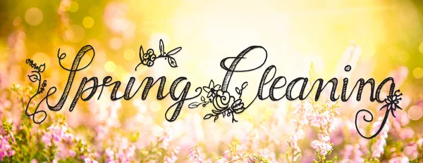 English Calligraphy Spring Cleaning Erica Flower Field Meadow Sunny Spring — Stock Photo, Image