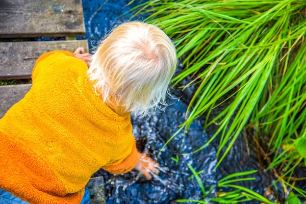 Nyfiken Blond Pojke Spelar Liten Bäck Svensk Natur Skog Äventyr — Stockfoto