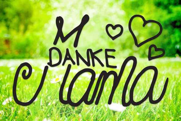Duitse Kalligrafie Danke Mama Betekent Thanks Mom Zonnige Voorjaar Grass — Stockfoto