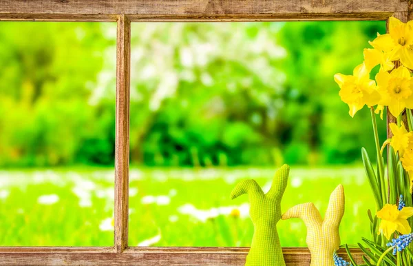 Оконная Рама Видом Красивый Зеленый Луг Пасхальный Кролик Весенний Цветок — стоковое фото