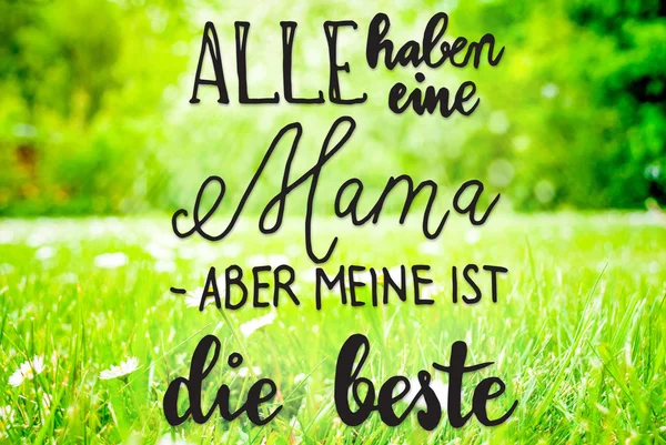 Німецький Каліграфії Beste Кращі Засоби Мама Мама Сонячна Весна Трава — стокове фото