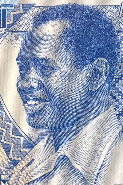 Francisco Mendes Potret Dari Guinea Bissau Uang — Stok Foto