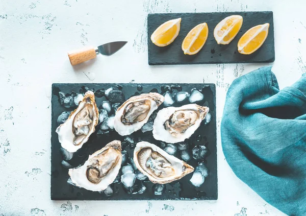 Rohe Austern Auf Dem Schieferbrett Lagen Flach — Stockfoto