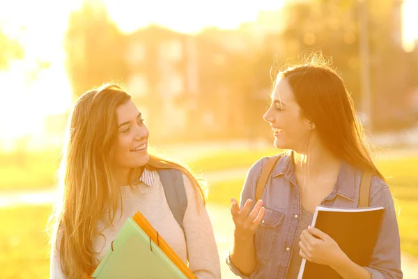 Front View Portrait Two Happy Students Walking Talking Sunset Park Stock Picture