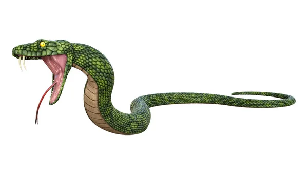 Renderização Uma Cobra Fantasia Gigante Verde Isolado Fundo Branco — Fotografia de Stock