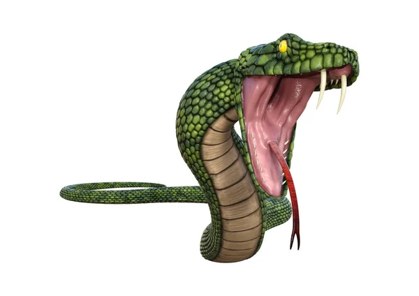 Representación Una Serpiente Fantasía Gigante Verde Aislada Sobre Fondo Blanco — Foto de Stock