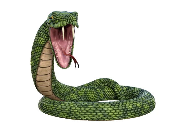 Representación Una Serpiente Fantasía Gigante Verde Aislada Sobre Fondo Blanco — Foto de Stock