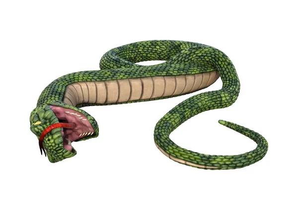 在白色背景下隔离的绿色巨型幻想蛇的3D渲染 — 图库照片