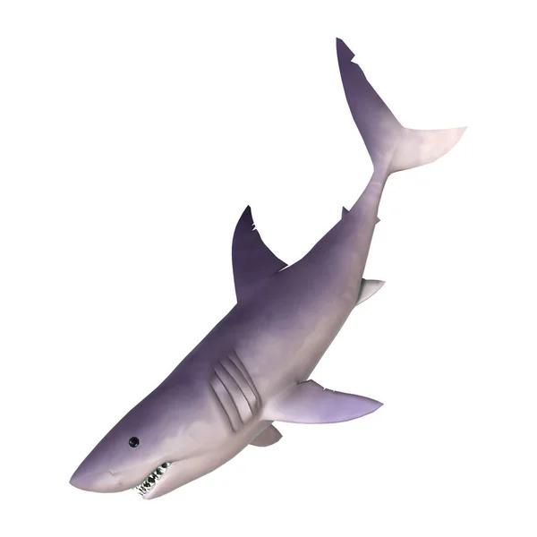 Darstellung Eines Hais Isoliert Auf Weißem Hintergrund — Stockfoto