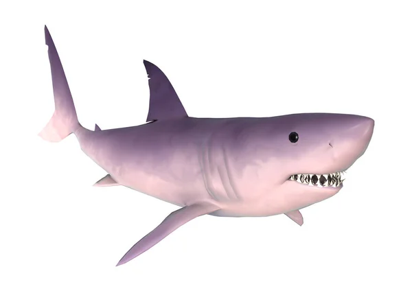 Rendering Shark Isolated White Background — Stock Photo, Image