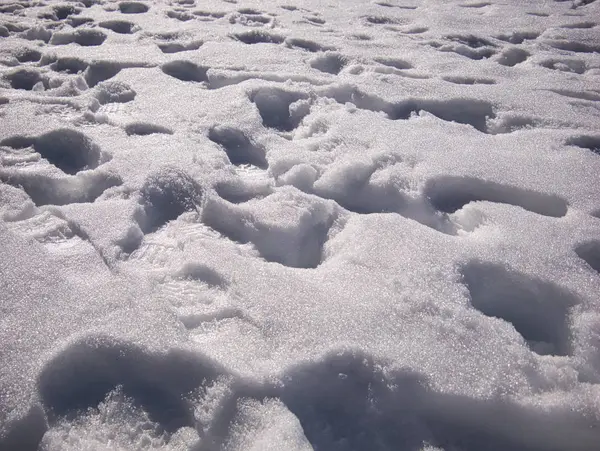Kilka Głębokich Śladów Stóp Świeżym Śniegu Słońcu Lutym — Zdjęcie stockowe