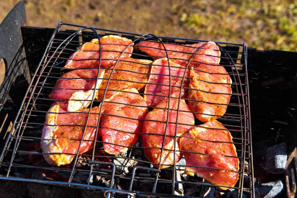 Vepřové Kořeněné Steak Marinádě Mangalu Grilování Lahodným Masem Horním Pohledu — Stock fotografie