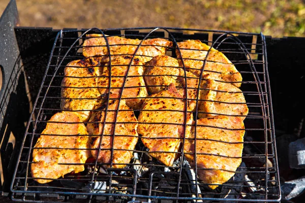 Carne Maiale Bistecca Piccante Marinata Arrosto Sul Braai Barbecue Con — Foto Stock