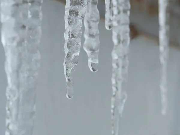Hängende Eiszapfen Kristallklares Eis — Stockfoto