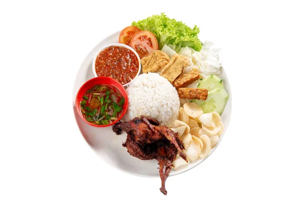 マレーシアの伝統的な郷土料理であるイカ肉のナシレマククス 白い背景に隔離されている フラットはオーバーヘッドビューを上に置く — ストック写真