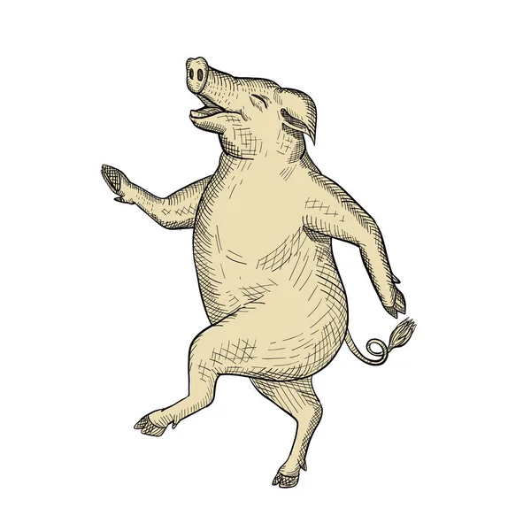 画素描风格的插图 一个快乐和快乐的猪跳舞 步行或采取从侧面在孤立的白色背景观看的步伐 — 图库照片