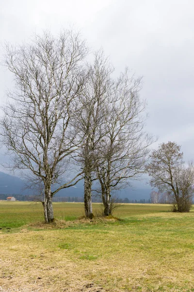 Pittoreske Natuur Cultuur Van Beieren — Stockfoto