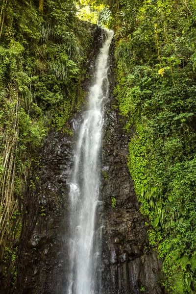 Saint Vincent Grenadine Szigetek Karib Tengeren Dark View Falls — Stock Fotó