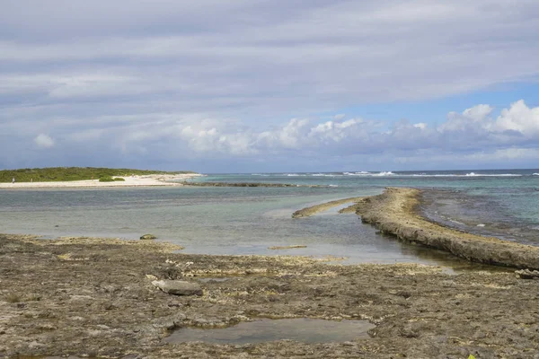 Guadeloupe Grande Anse Beach Nagy Öbölbeli Sóoldatok Karib Tengeren — Stock Fotó