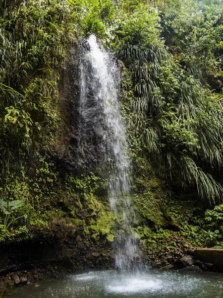 Karibik Lucia Toraille Wasserfälle Der Karibik — Stockfoto
