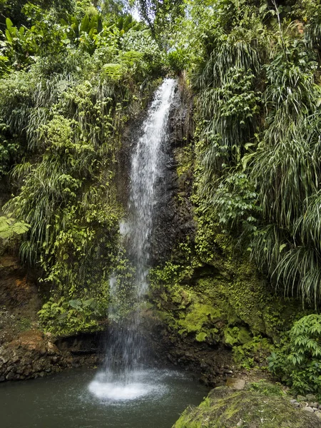 Karibik Lucia Toraille Wasserfälle Der Karibik — Stockfoto