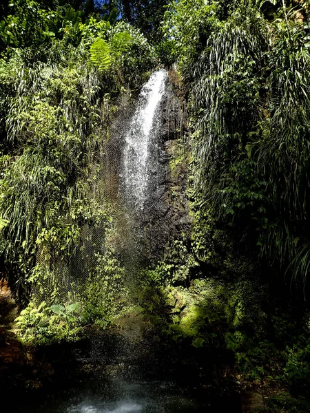 Caribbean Lucia Toraille Waterfalls Caribbean Sea — 图库照片