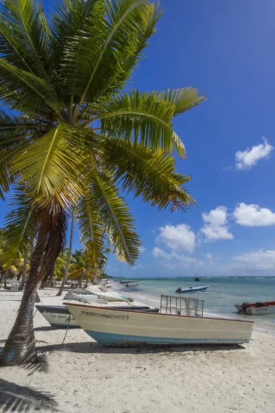 Dominikanische Republik Auf Saona Strand Von Mano Juan — Stockfoto