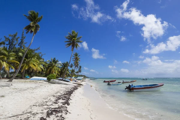 République Dominicaine Sur Île Saona Plage Mano Juan — Photo