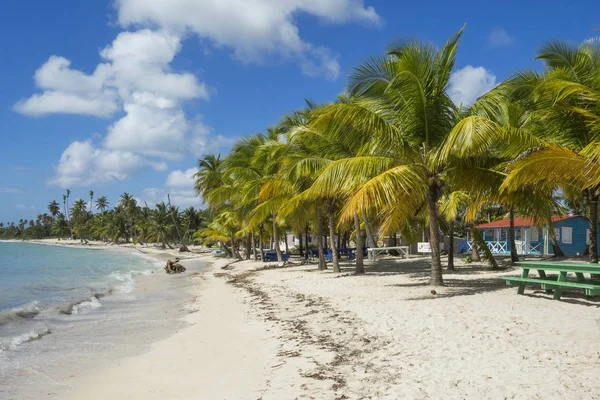 República Dominicana Isla Saona Playa Mano Juan —  Fotos de Stock