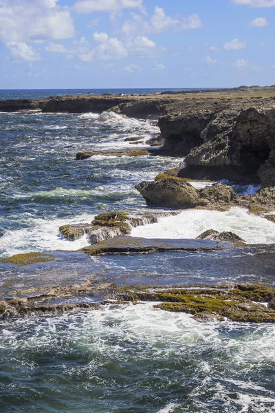 Mar Caribe Barbados Horse Shoe Bay Costa Norte — Fotografia de Stock