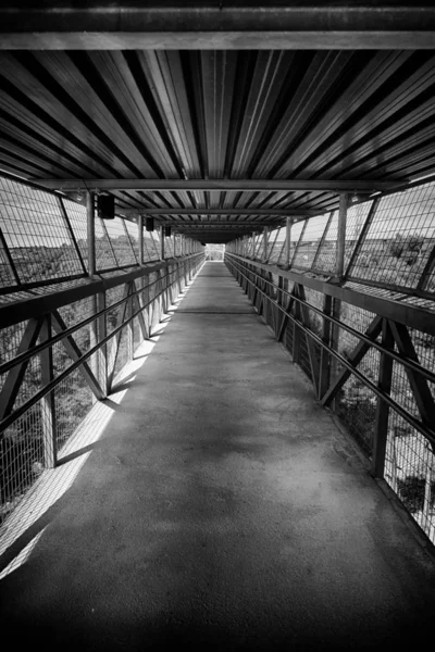 Természetben Séta Emberek Szabadban Részlete Footbridge — Stock Fotó