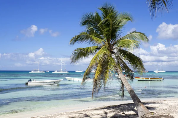 Caraïbische Zee Dominicaanse Republiek Saona Island Aan Het Strand Van — Stockfoto