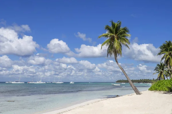 Mer Des Caraïbes République Dominicaine Île Saona Plage Gato — Photo