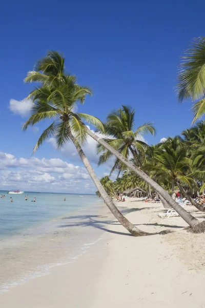 Caraïbische Zee Dominicaanse Republiek Saona Island Aan Het Strand Van — Stockfoto