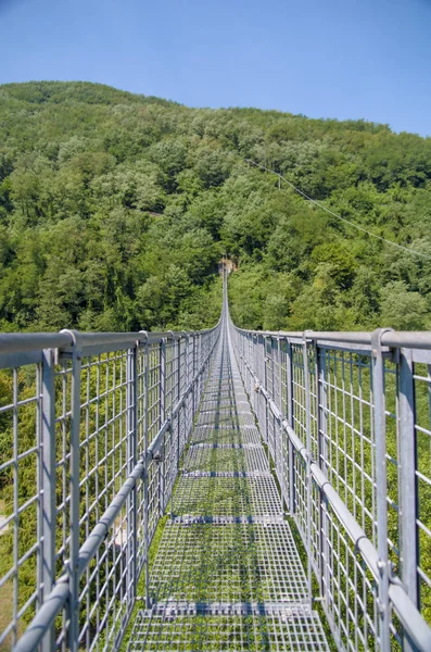 Två Sidor Den Skogsbevuxna Mantagna Sällskap Iron Bridge Svävande Ovanför — Stockfoto